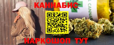 индика Будённовск