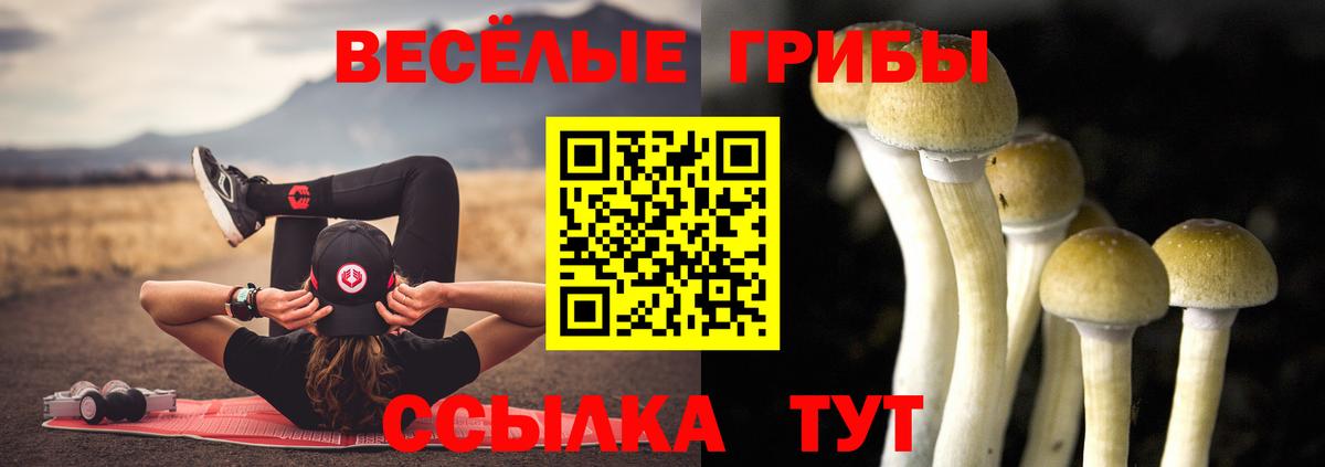 Галлюциногенные грибы мухоморы Ухта